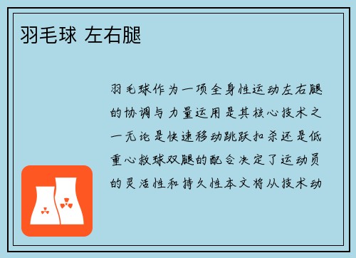 羽毛球 左右腿